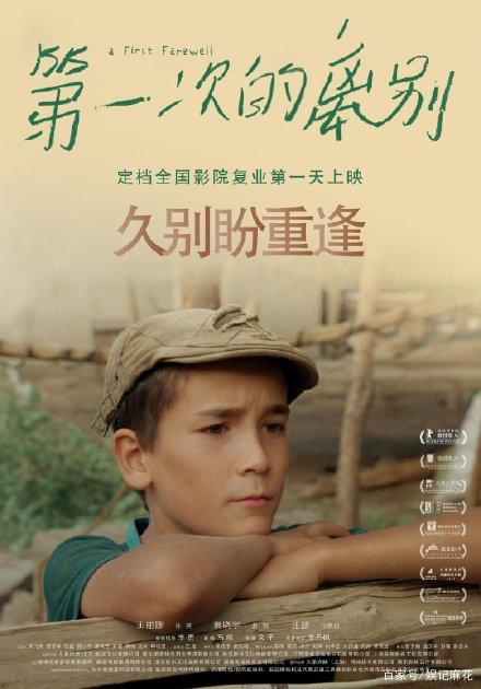 离婚证模板/图片